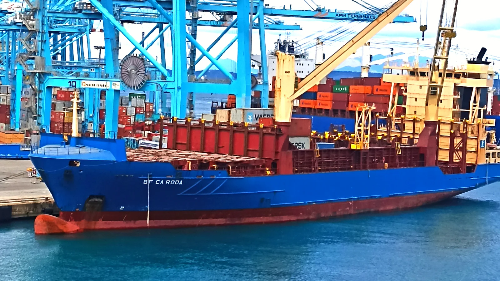 Container ship moored under gantry cranes at the Port of Algeciras, Spain