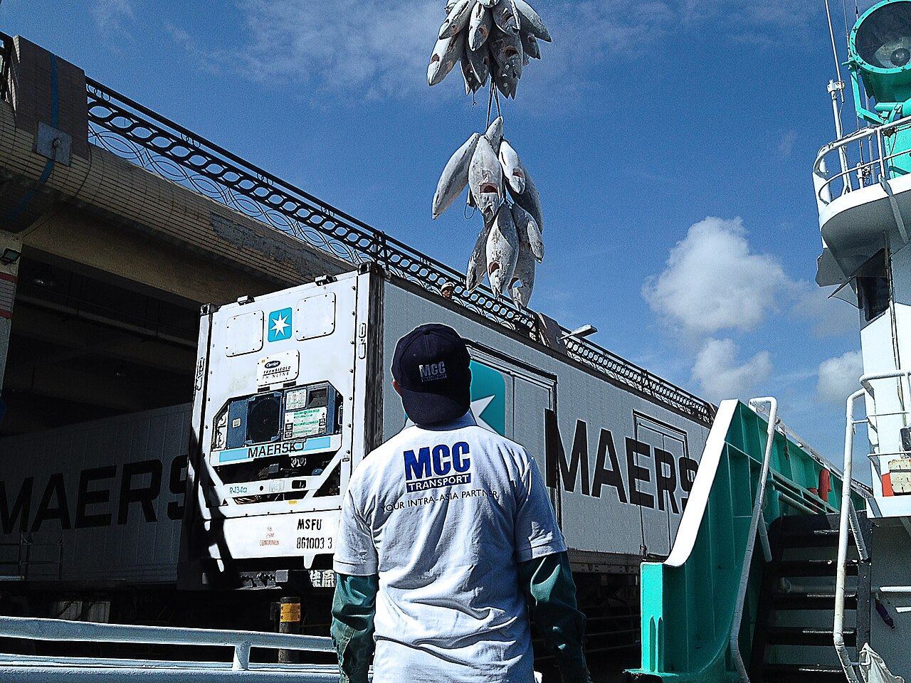 MCC reefer shipment